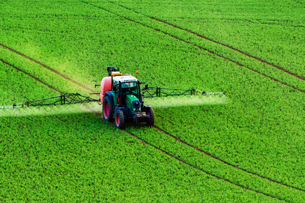 Precision Agriculture and Sustainability: ALMEC S.p.A.’s IoT and AI Solutions